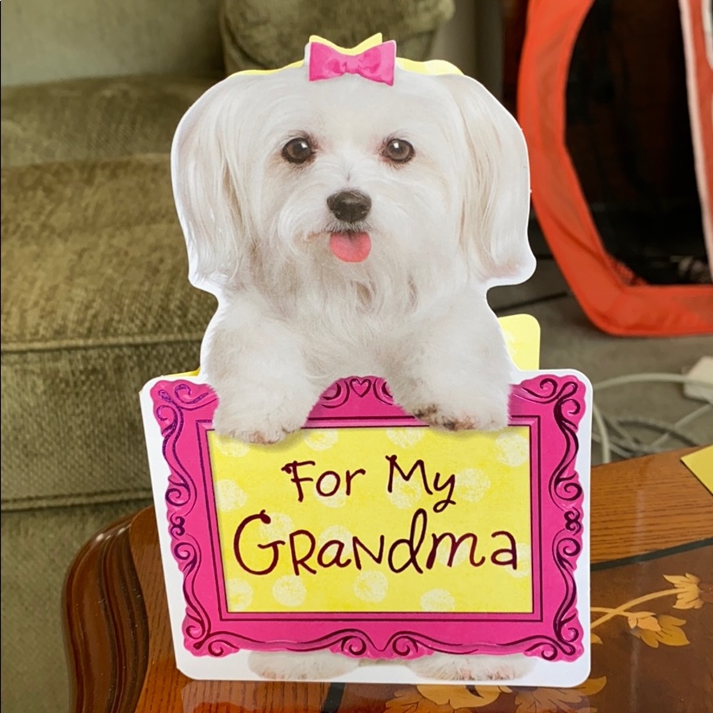 🆕AMERICAN GREETINGS FOR MY GRANDMA MALTESE CARD MADE IN USA🐶🐩👵👵🏻👵🏼👵🏽👵🏾👵🏿🇺🇸🐕🎀✍️🖊️
